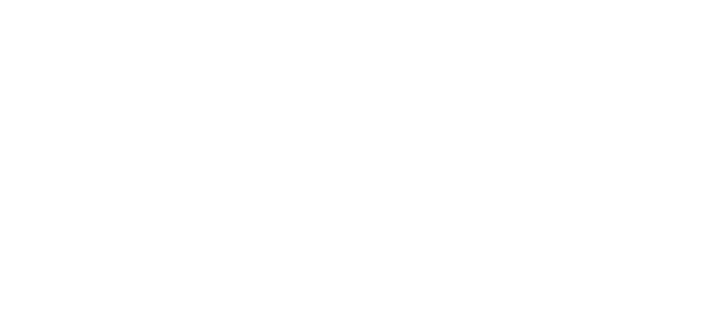 XION Logo